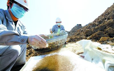 拯救大地的疤痕 你不可不知的土壤污染修復(fù)之道