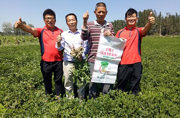 土壤修復菌劑 喚醒大地生命力的綠色密碼